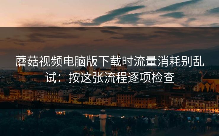蘑菇视频电脑版下载时流量消耗别乱试：按这张流程逐项检查