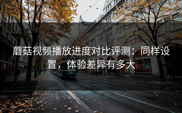 蘑菇视频播放进度对比评测：同样设置，体验差异有多大