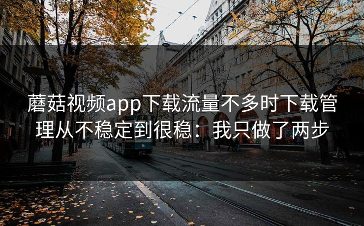 蘑菇视频app下载流量不多时下载管理从不稳定到很稳：我只做了两步