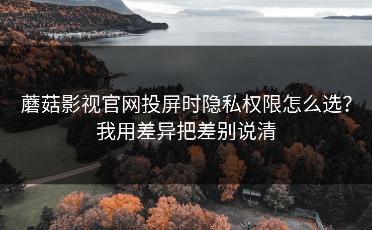 蘑菇影视官网投屏时隐私权限怎么选？我用差异把差别说清