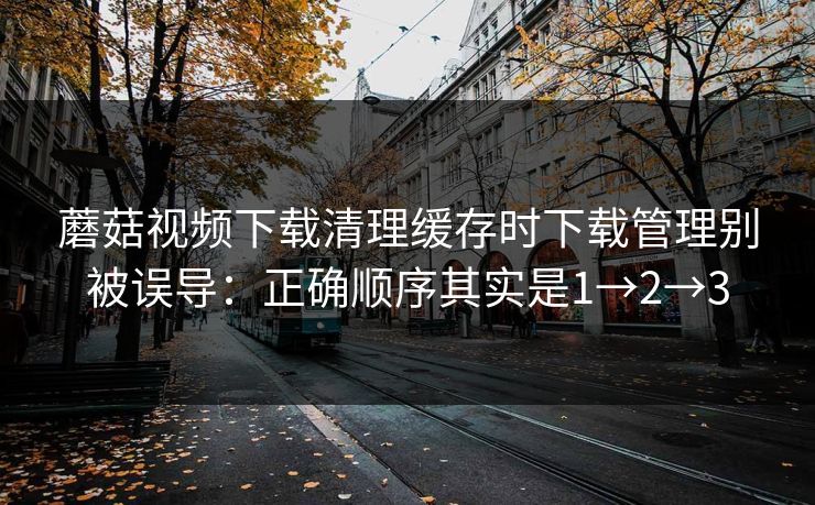 蘑菇视频下载清理缓存时下载管理别被误导：正确顺序其实是1→2→3